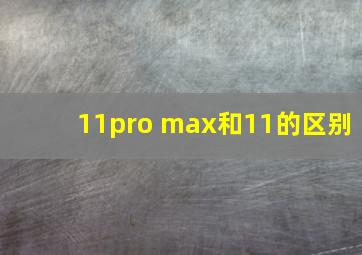 11pro max和11的区别